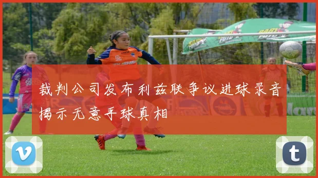 裁判公司发布利兹联争议进球录音揭示无意手球真相