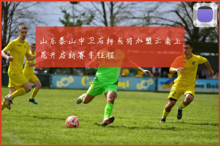 山东泰山中卫石柯或将加盟云南玉昆开启新赛季征程